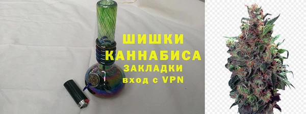 шишки Абаза
