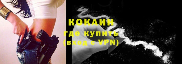 шишки Абаза