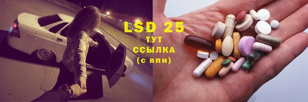 шишки Абаза
