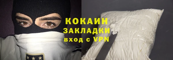 шишки Абаза