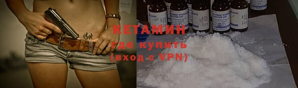 шишки Абаза