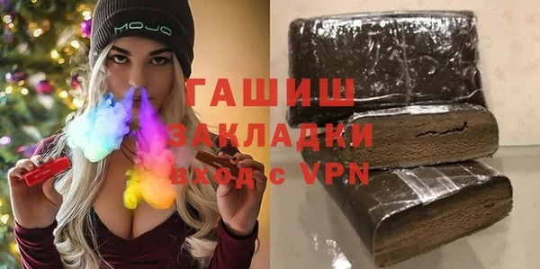 шишки Абаза
