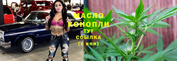 шишки Абаза