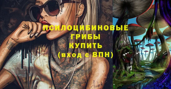 шишки Абаза