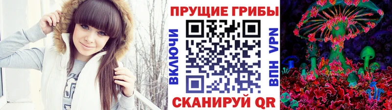 Галлюциногенные грибы Cubensis  Ярославль 
